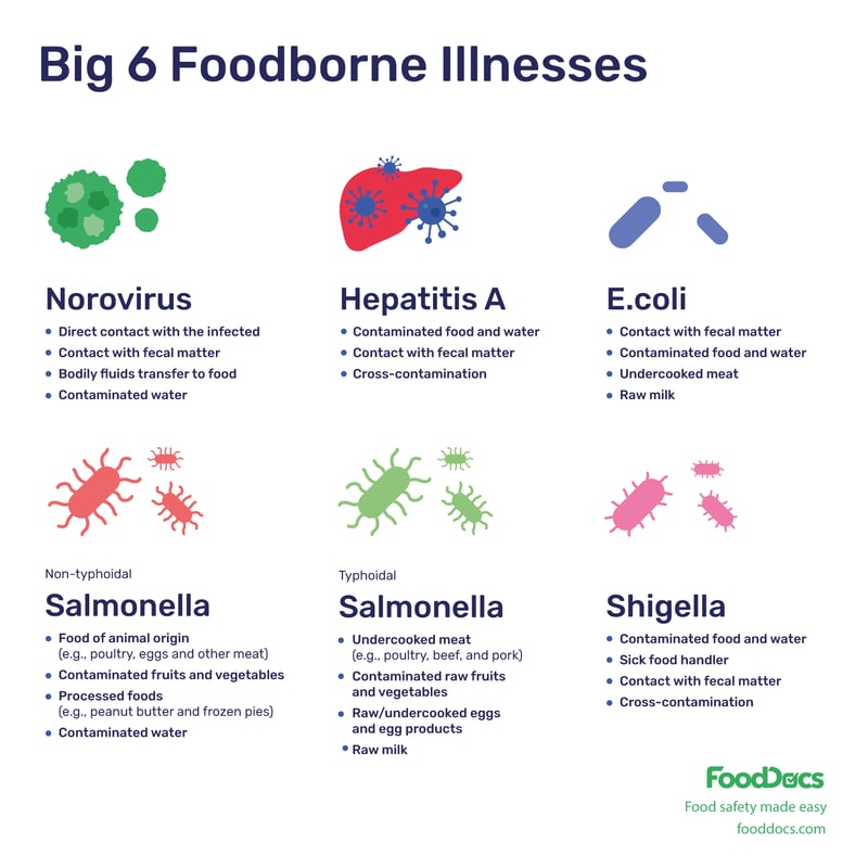 Big 6 foodborne illnesses infographic