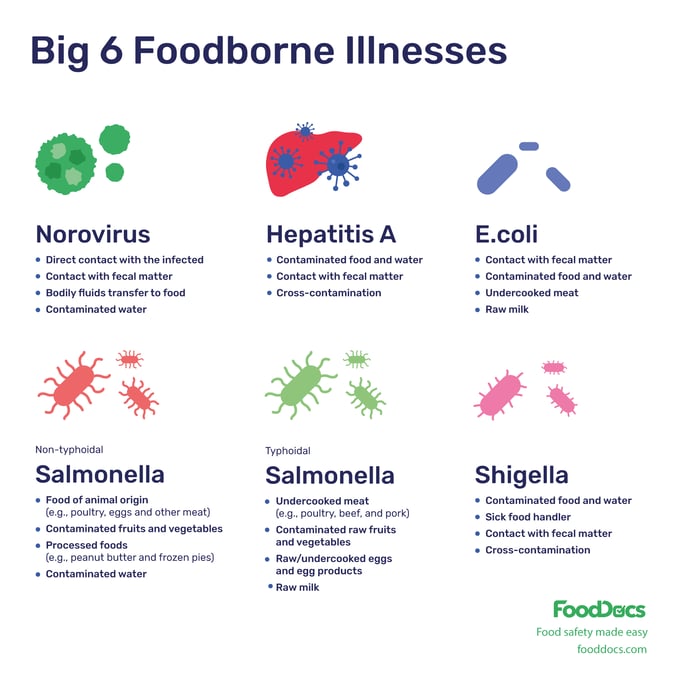 Big 6 foodborne illnesses
