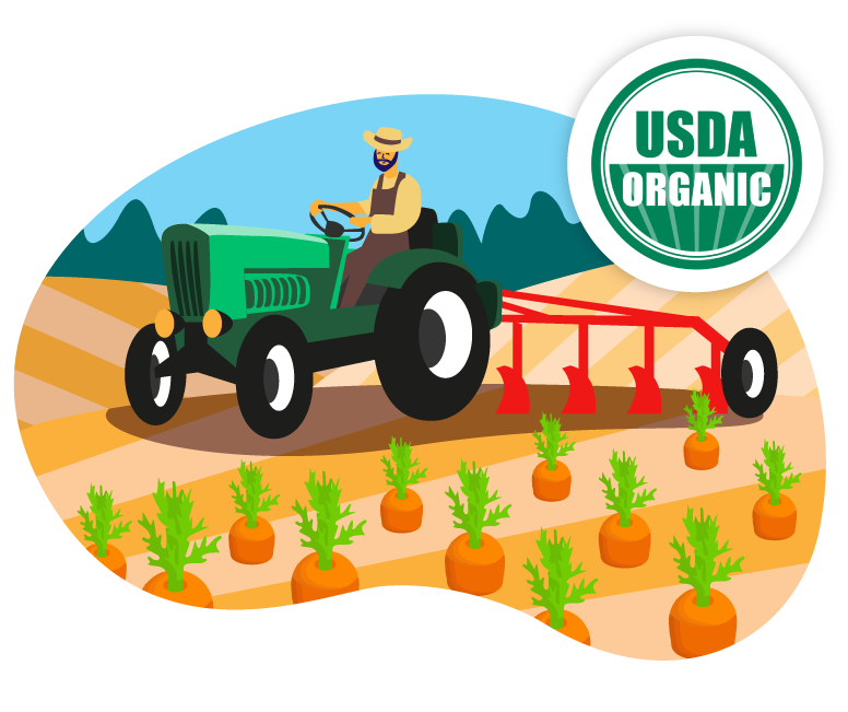 Food Safety Standards Compliance USDA Organic