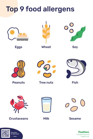Poster illustrating top 9 food allergens