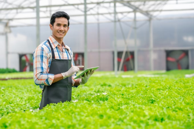 Happy Asian man farmer in hydroponic farm