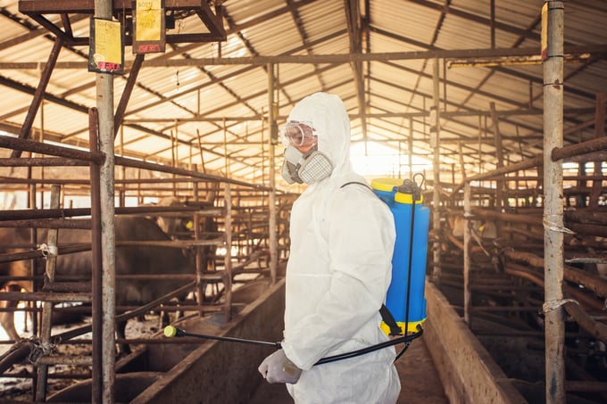 People wearing personal protective equipment or PPE with spraying disinfectant for protection pandemic of disease in cattle farm