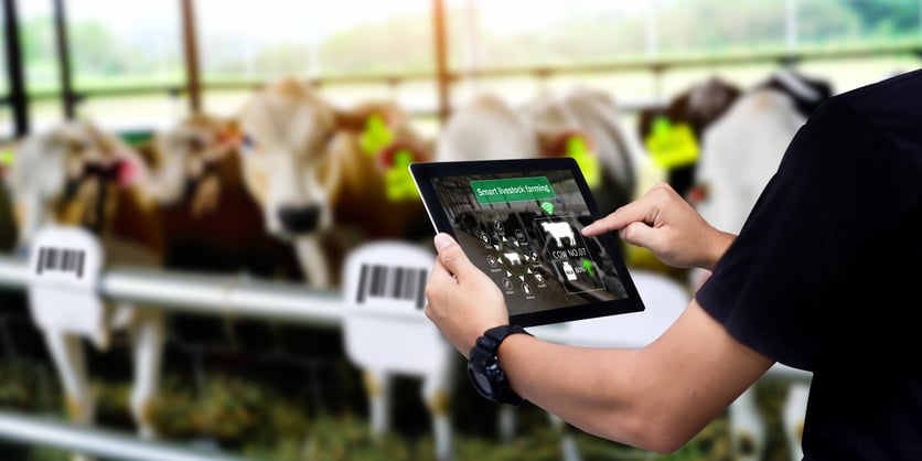 Smart Agritech livestock farming