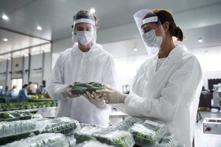 Two people performing the packaging quality control stock photo