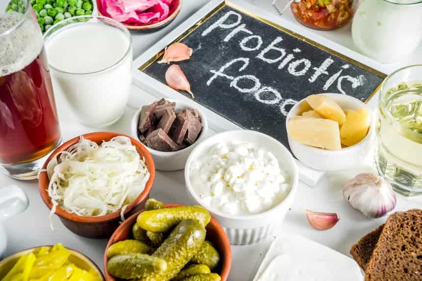 beneficial use of bacteria