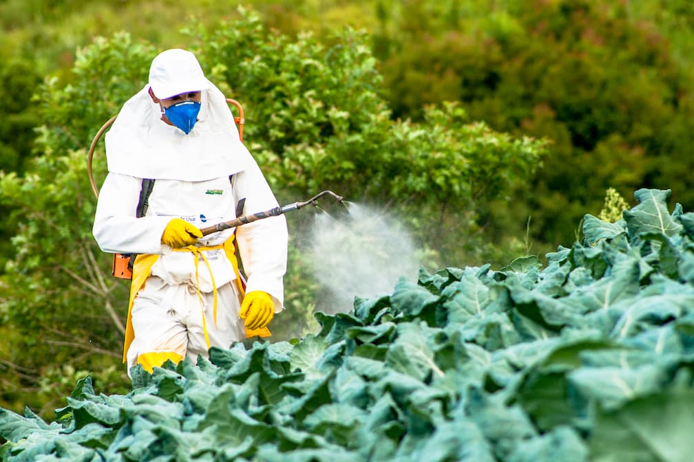 chemicals sprayed on food