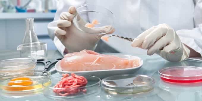 food safety testing in the lab