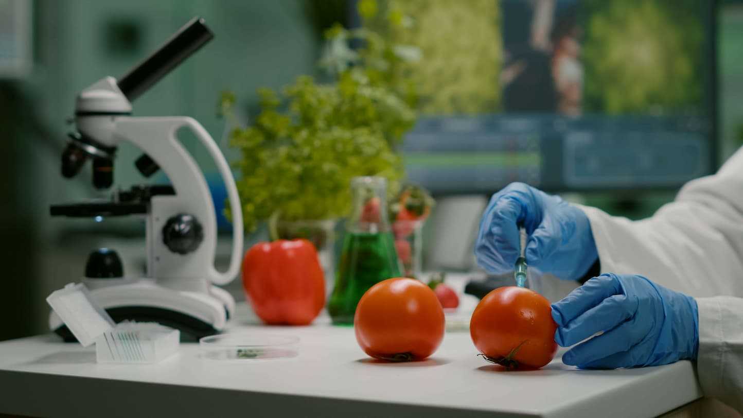food safety testing lab