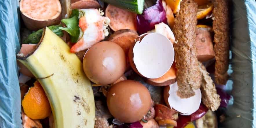 food waste