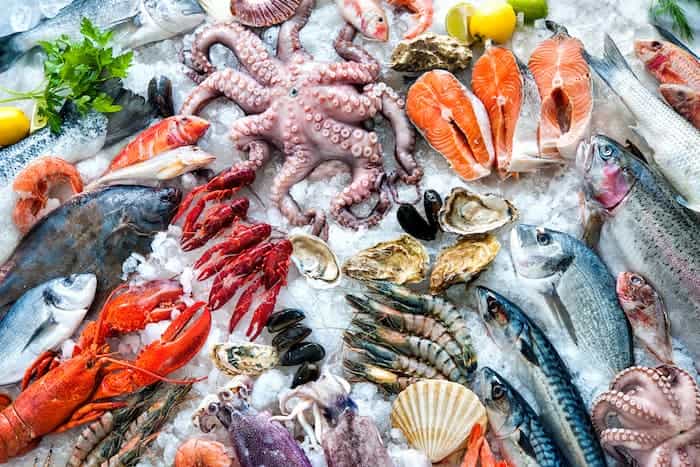 haccp for seafood business