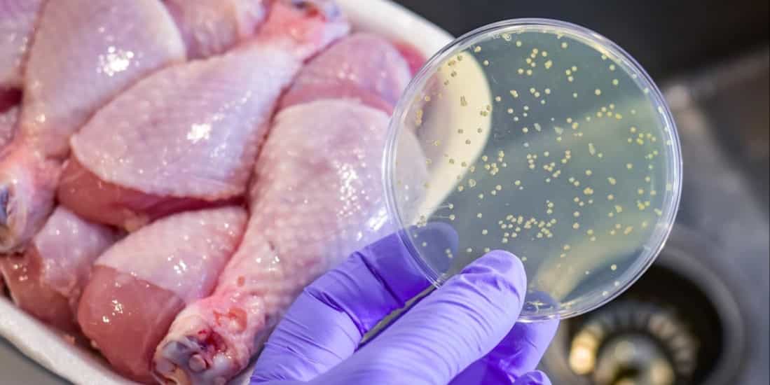 poultry meat hazards