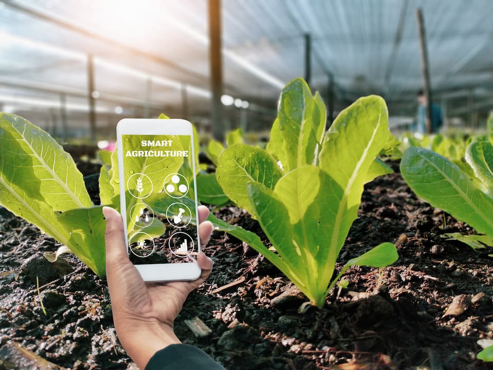 smart agriculture to improve traceability of food businesses