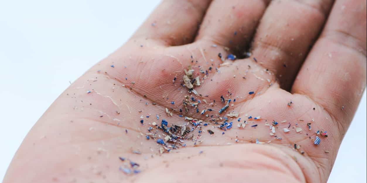 what is the best example of physical contamination