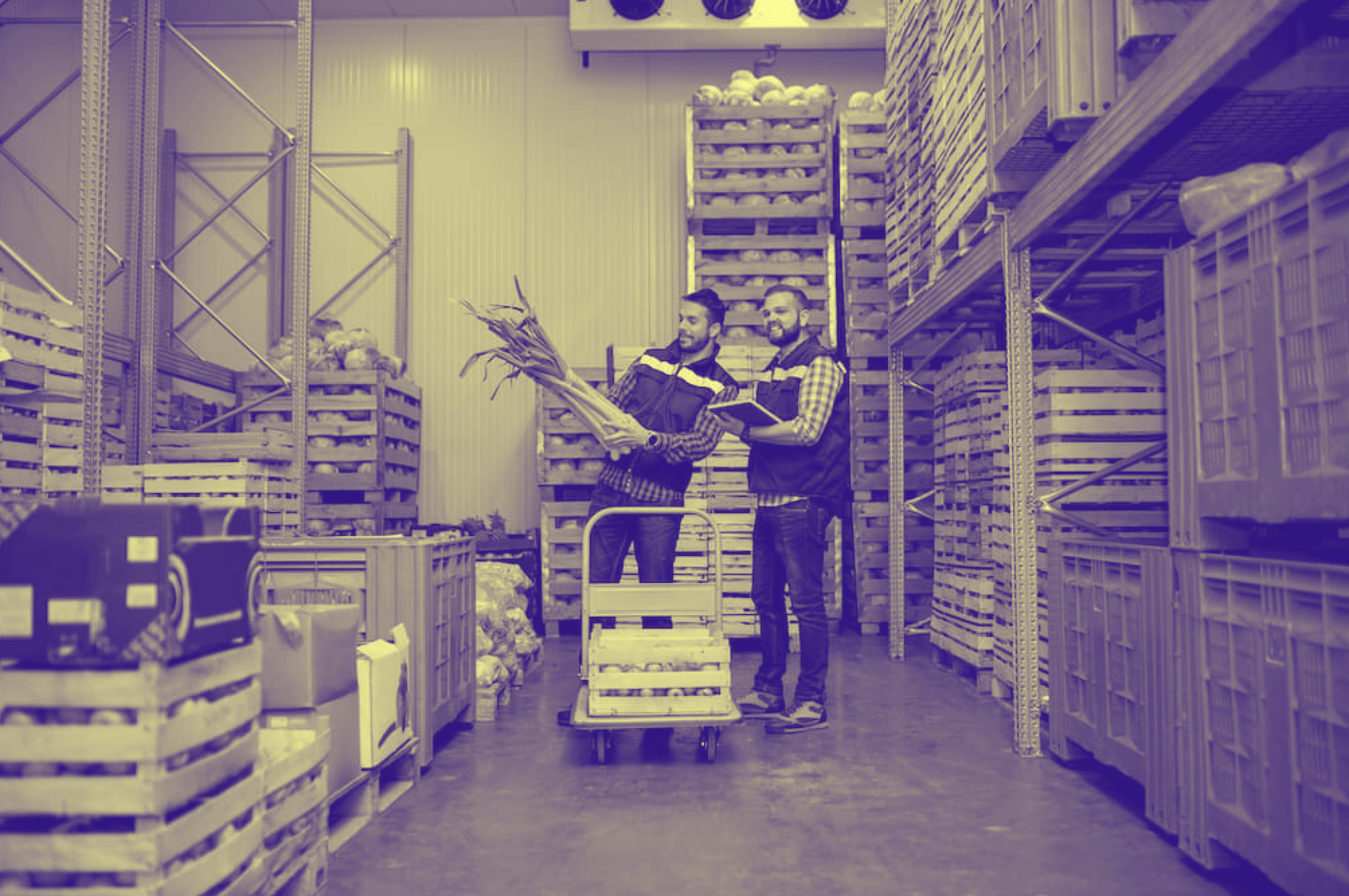 Restaurant Food Storage Guidelines to Know in 2025