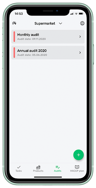 Audits, audit templates view on mobile